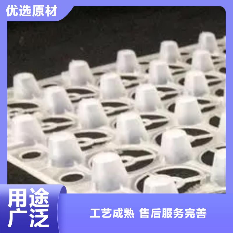供应商排水板【防护虹吸排水收集系统】专注生产制造多年