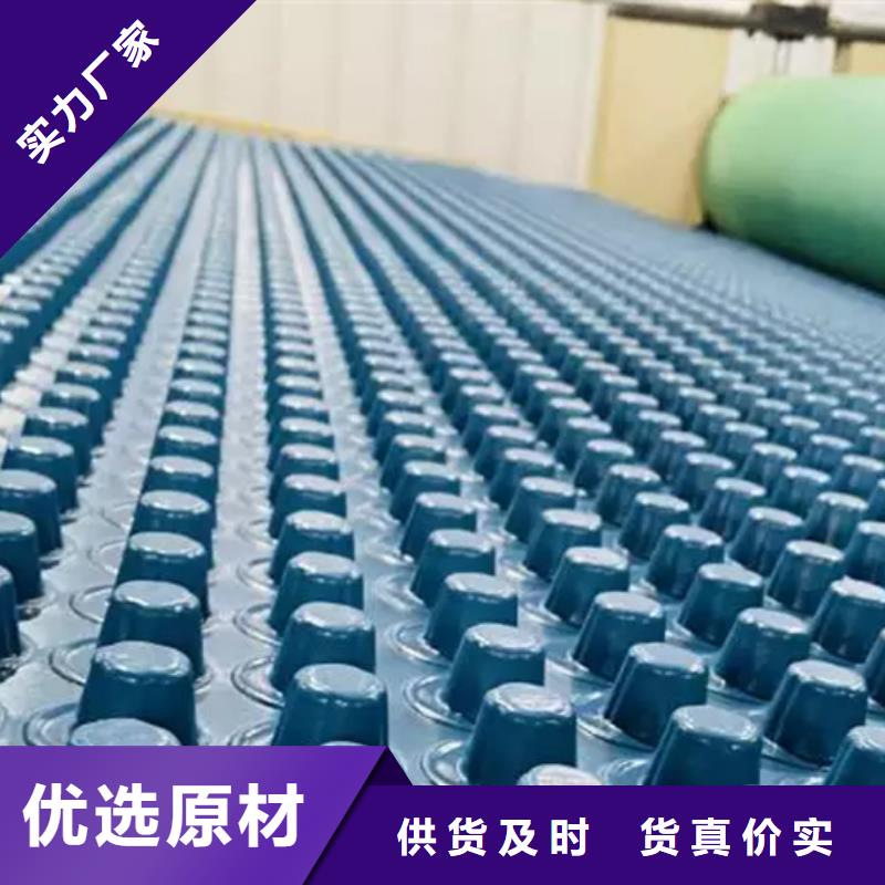 排水板水泥化粪池批发供应