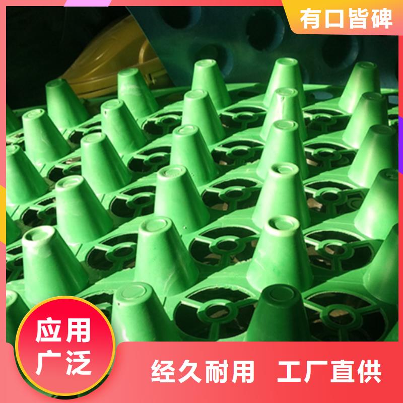 排水板水泥化粪池批发供应