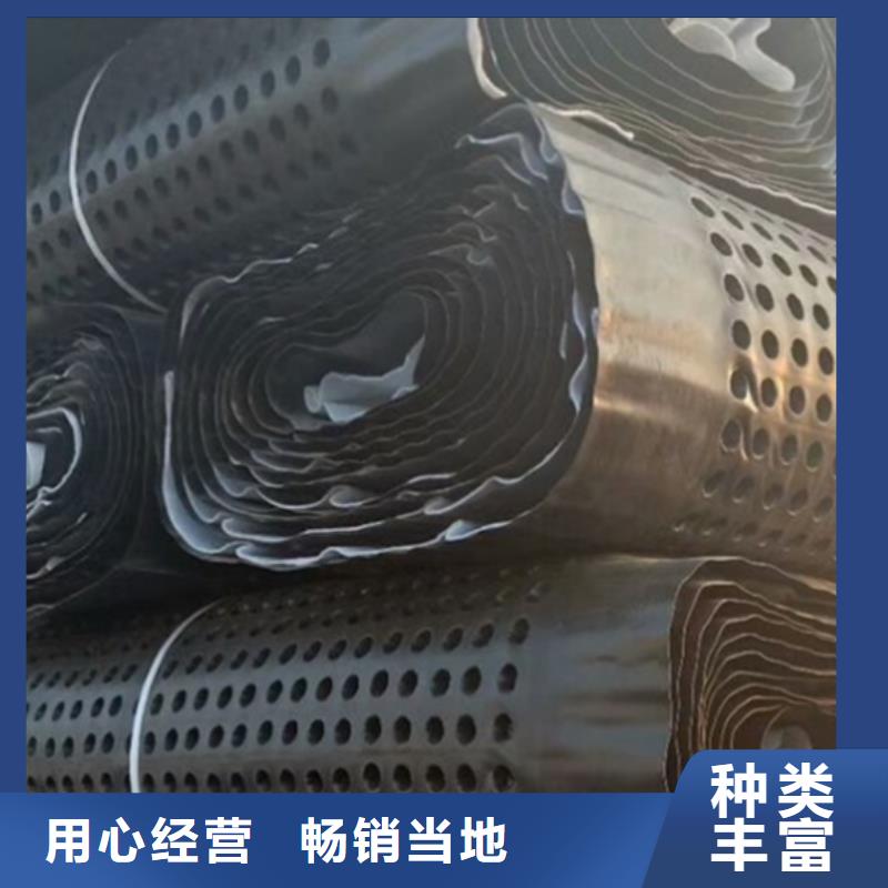 供应商排水板【防护虹吸排水收集系统】专注生产制造多年