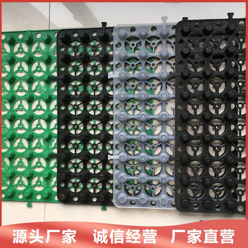 -永兴|桂东|岳阳|湘西|常德|张家界排水板-【化粪池水泥】客户满意度高
