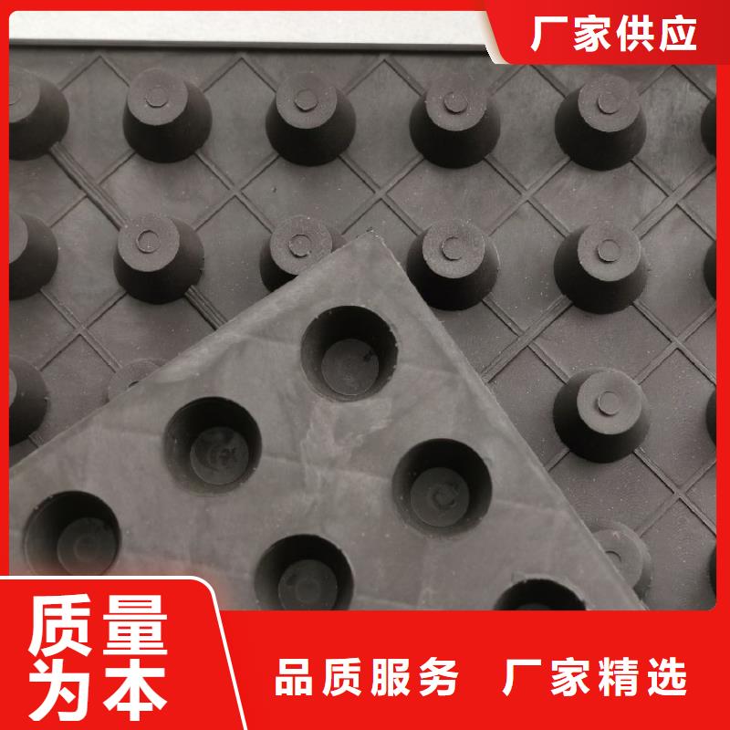排水板水泥化粪池来图定制量大从优