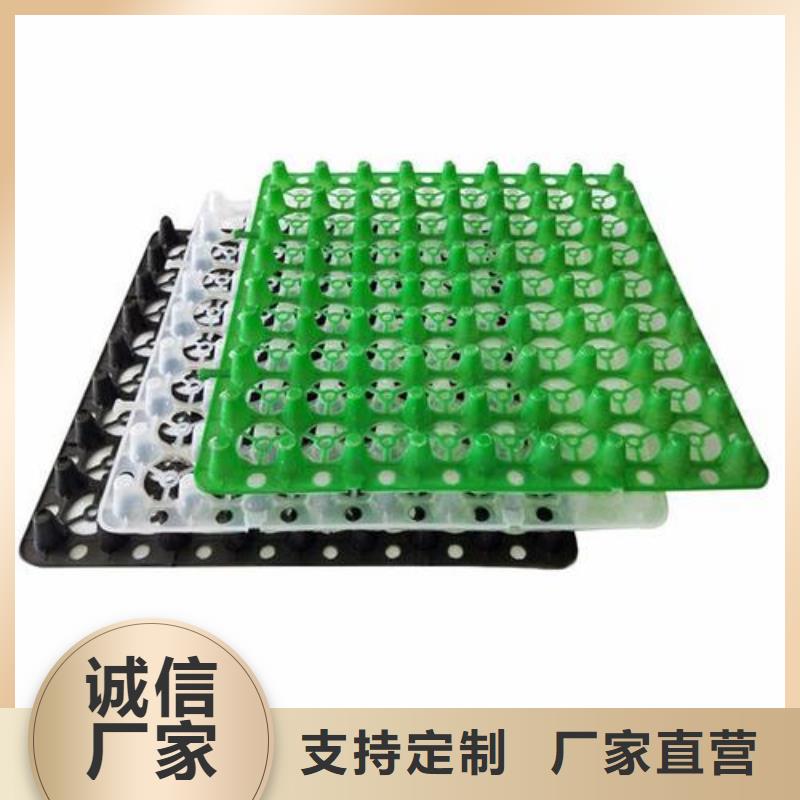 排水板水泥化粪池来图定制量大从优