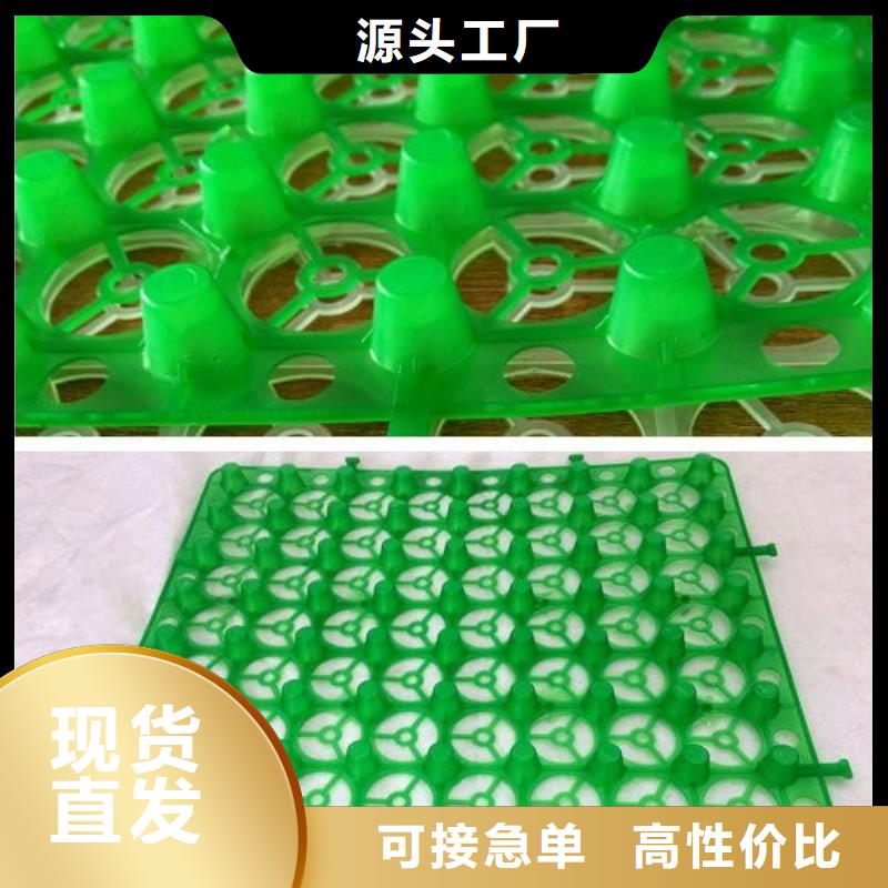 -永兴|桂东|岳阳|湘西|常德|张家界排水板-【化粪池水泥】客户满意度高