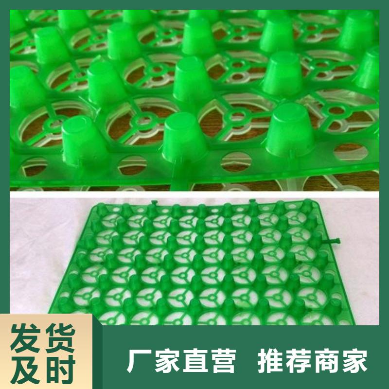 【排水板】化粪池水泥我们更专业