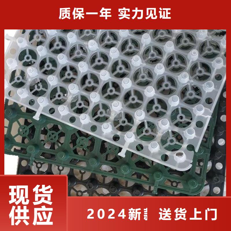 排水板安心购