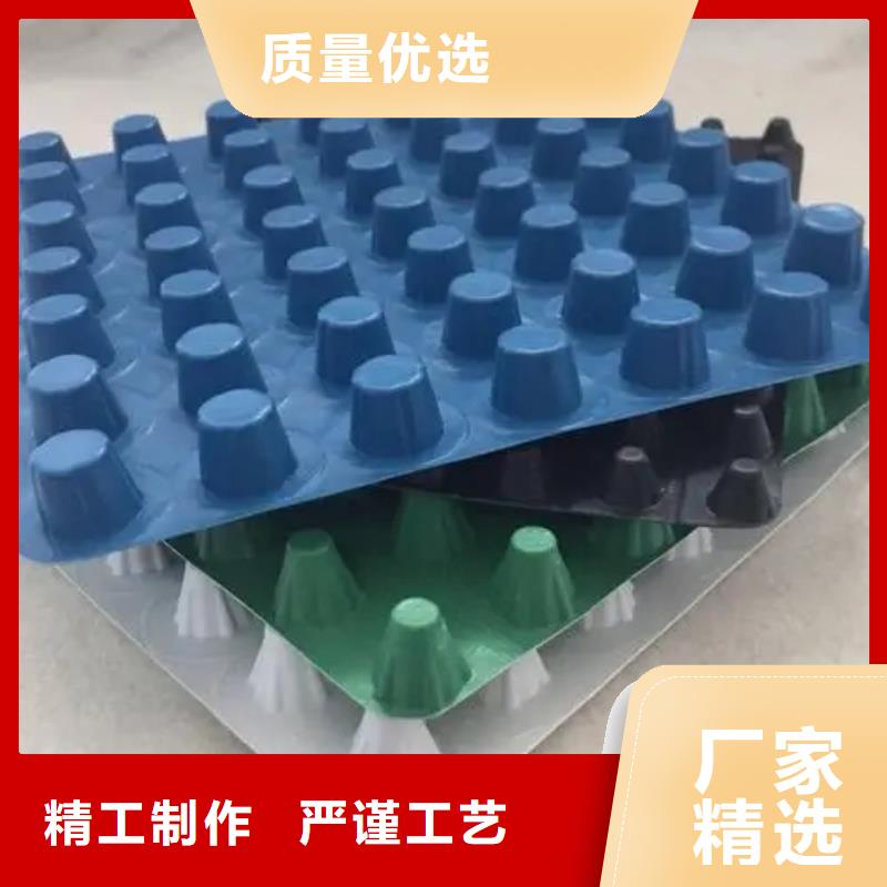 【排水板】化粪池水泥我们更专业