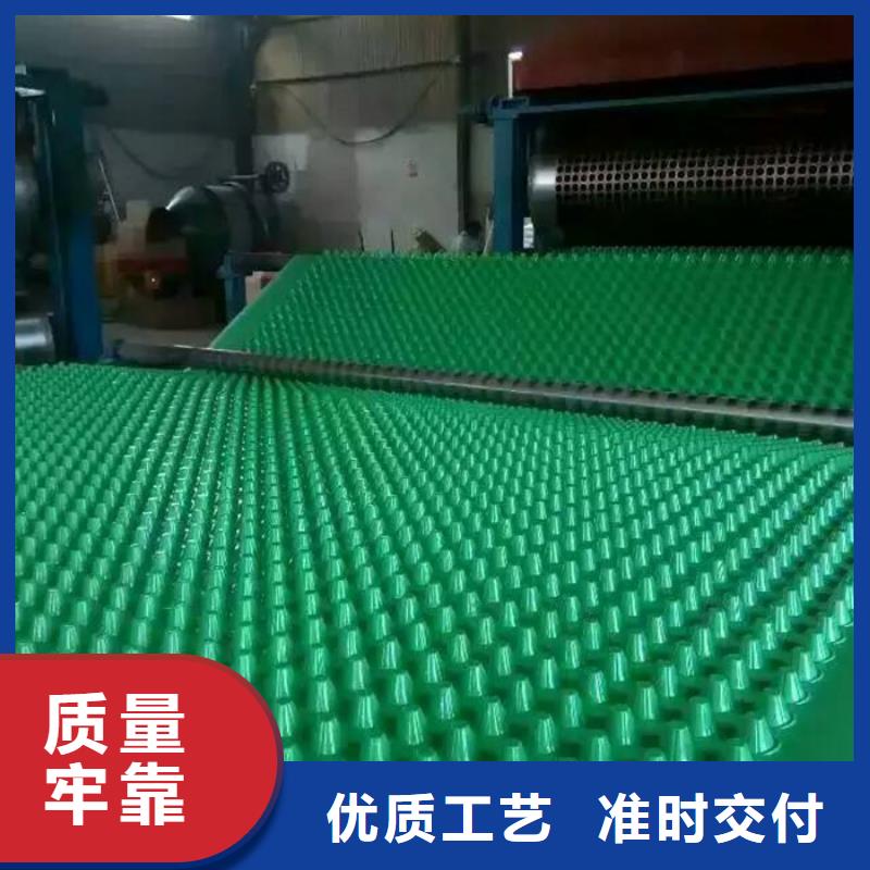 -永兴|桂东|岳阳|湘西|常德|张家界排水板-【化粪池水泥】客户满意度高