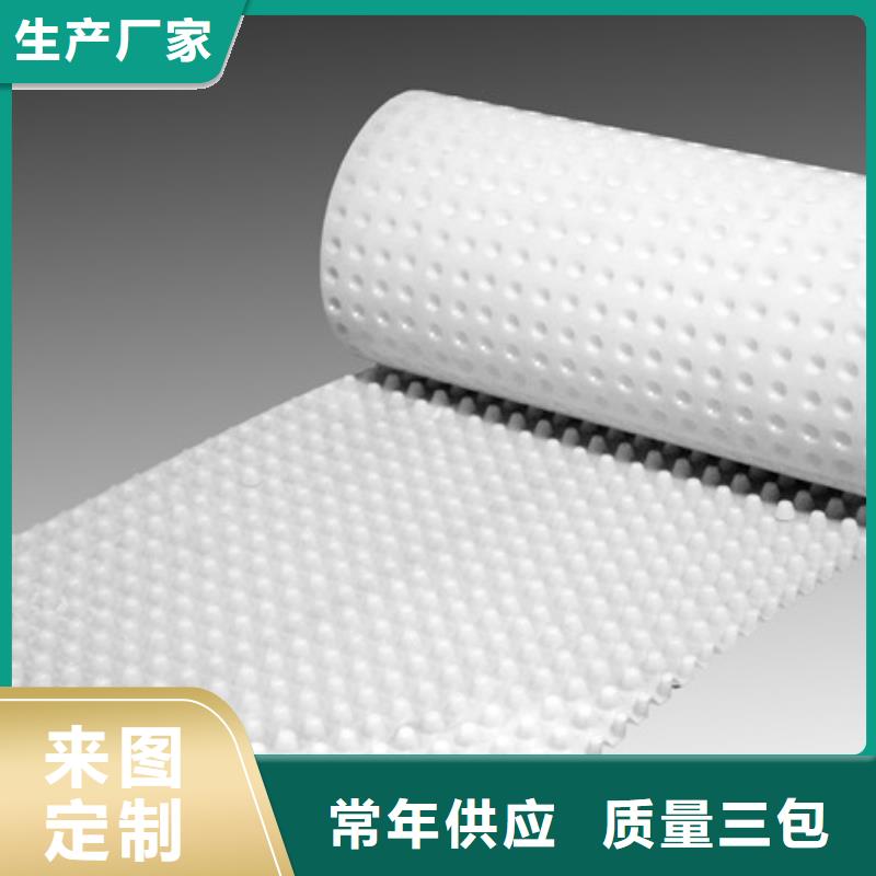 排水板水泥化粪池批发供应