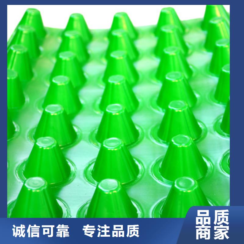 排水板安心购