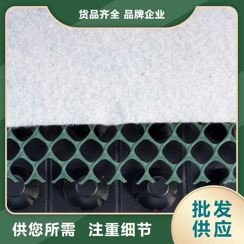 排水板安心购