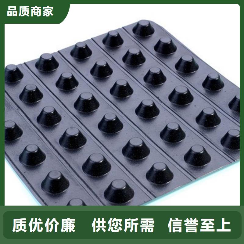 排水板安心购