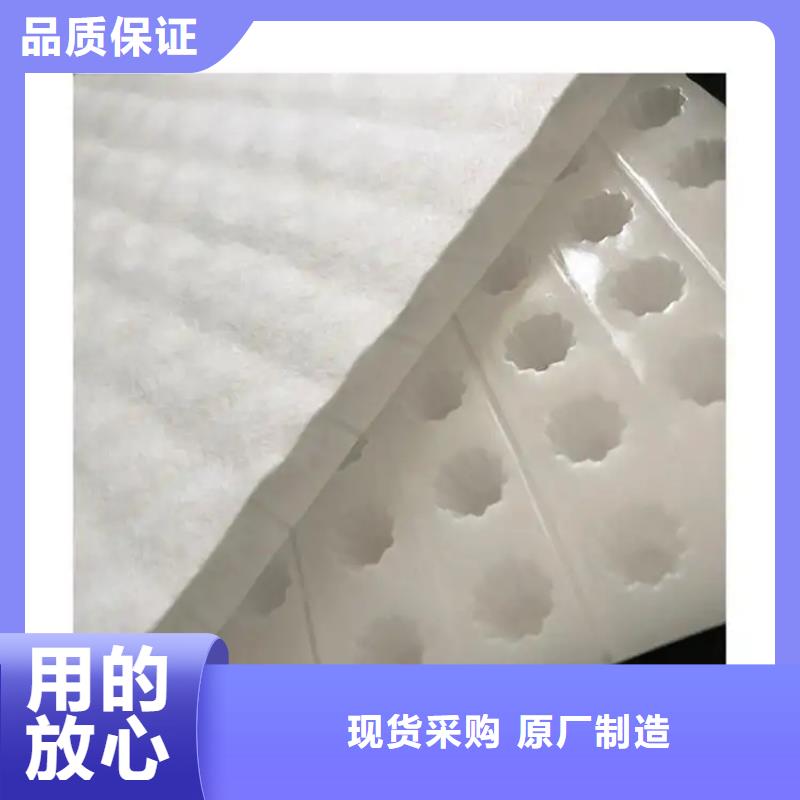 (朋联)【虹吸排水】 植草格库存丰富