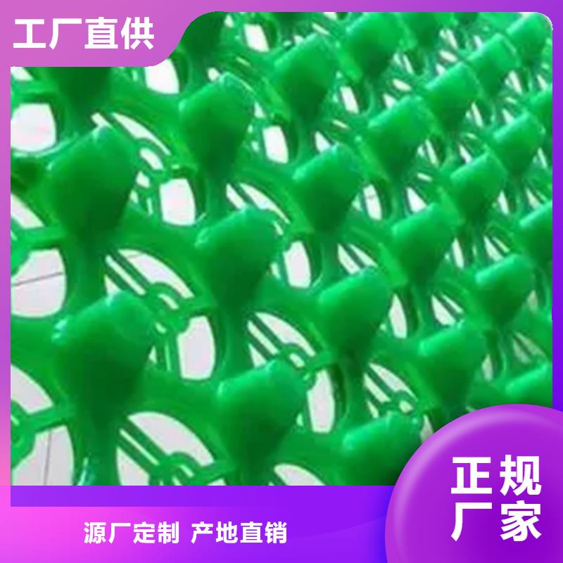 (朋联)【虹吸排水】 植草格库存丰富