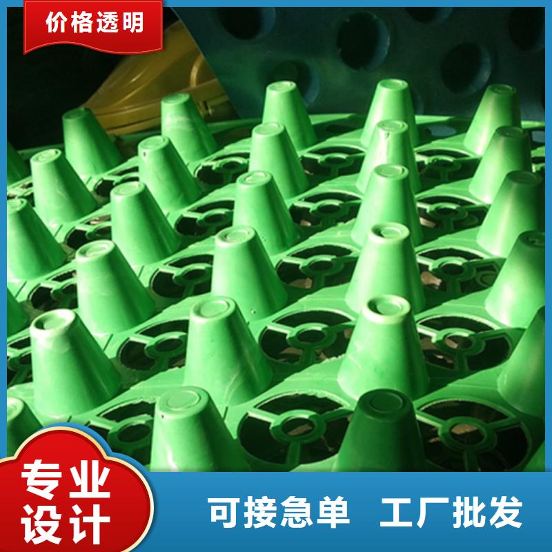 虹吸排水植草格服务至上