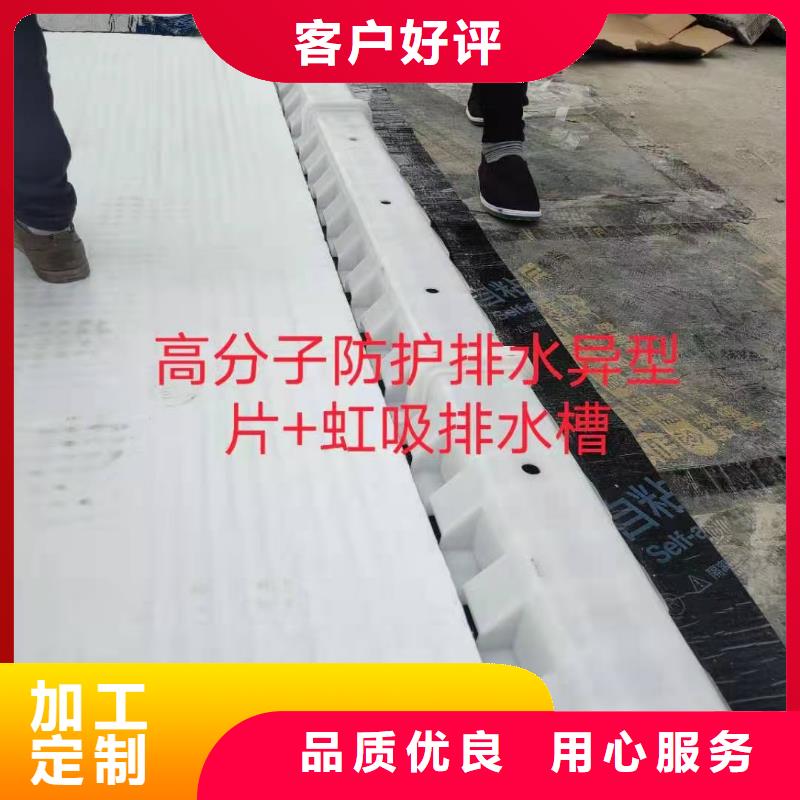 虹吸排水植草格国标检测放心购买