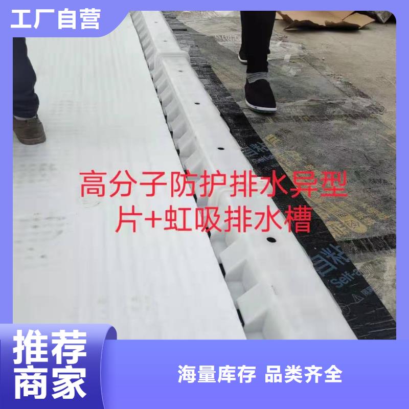 【虹吸排水】 水泥化粪池敢与同行比质量《朋联》