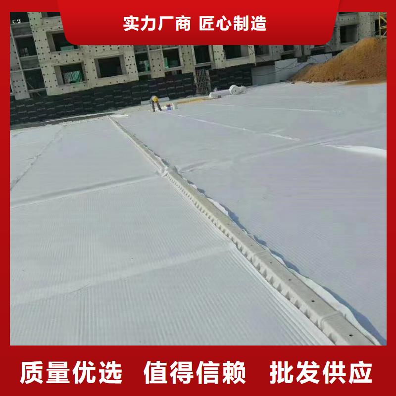 【虹吸排水】 水泥化粪池敢与同行比质量《朋联》