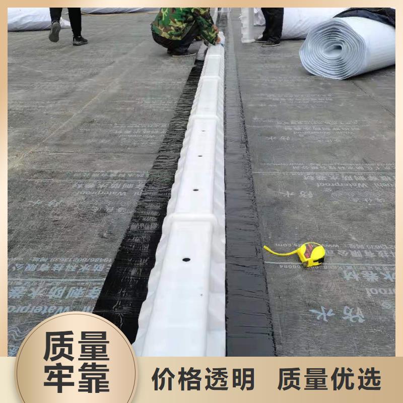 虹吸排水排水板重信誉厂家
