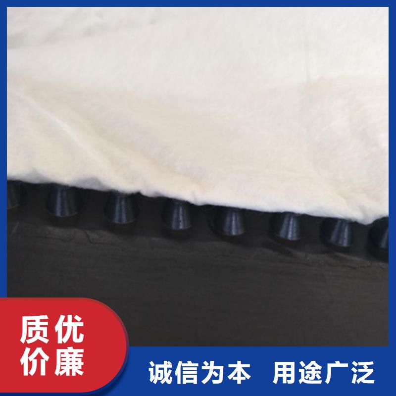 虹吸排水植草格服务至上