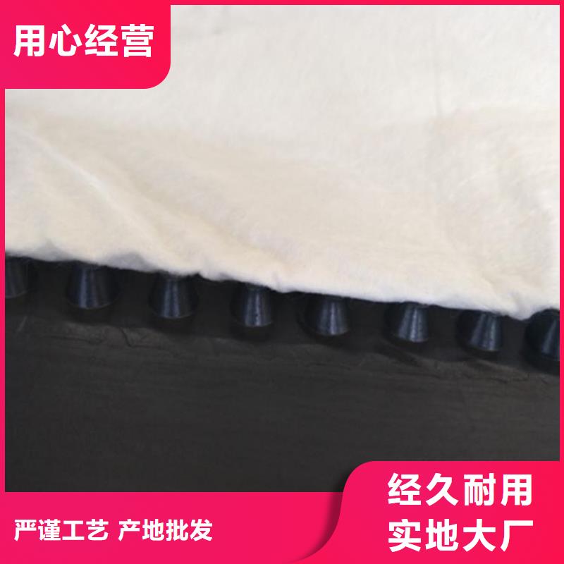 虹吸排水植草格国标检测放心购买