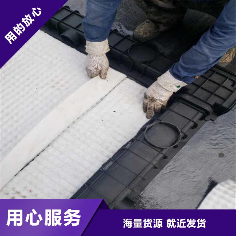虹吸排水_排水板价格合理