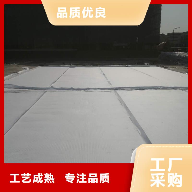 虹吸排水植草格国标检测放心购买