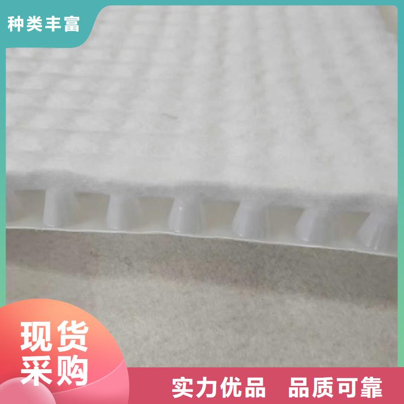 虹吸排水植草格国标检测放心购买