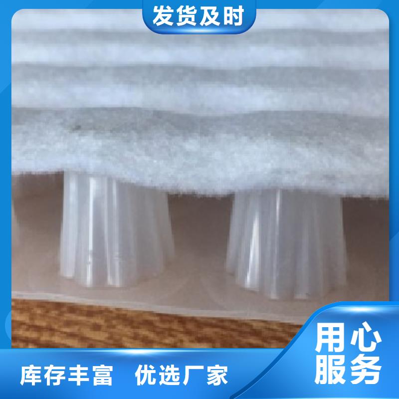 虹吸排水植草格国标检测放心购买