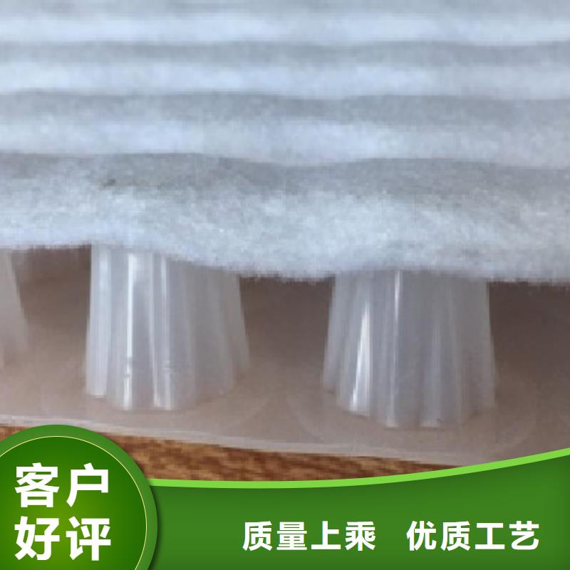 虹吸排水植草格服务至上
