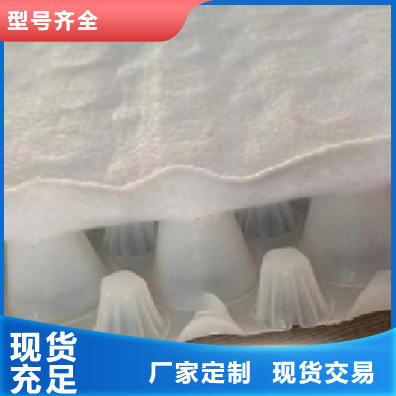 虹吸排水植草格国标检测放心购买