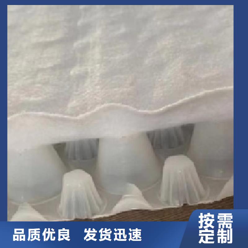 虹吸排水植草格服务至上