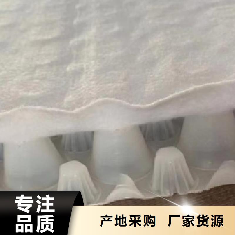 虹吸排水防护虹吸排水收集系统真材实料加工定制