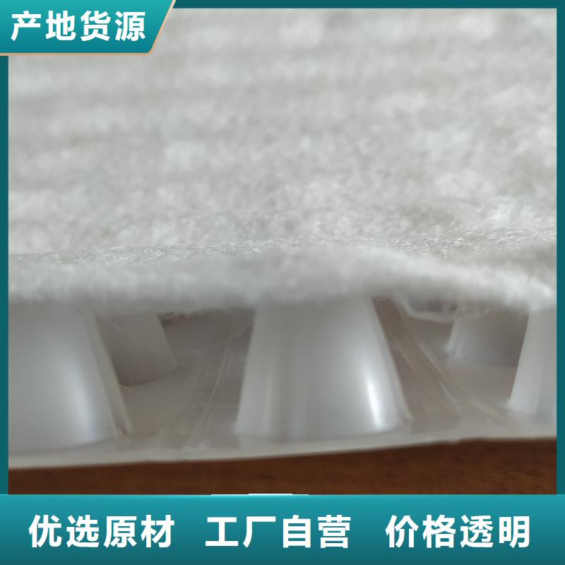 虹吸排水植草格服务至上