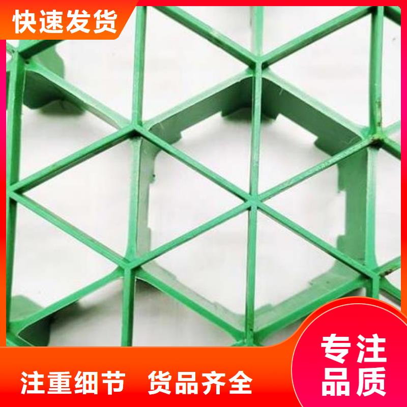 植草格水泥化粪池一个起售