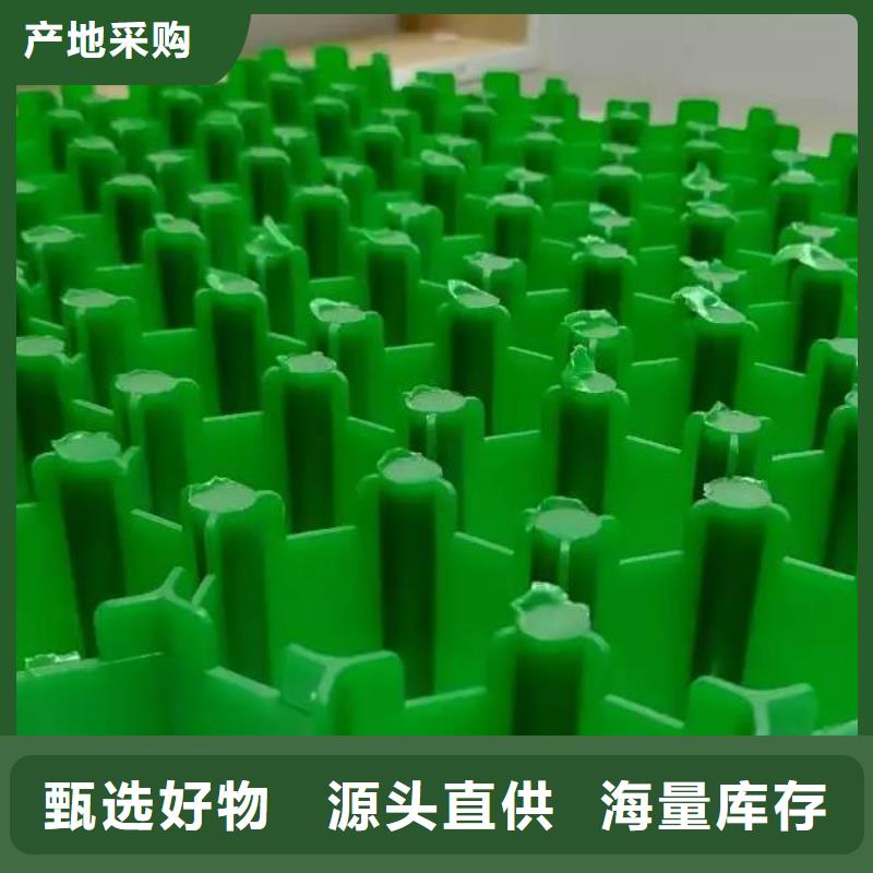 【植草格】植草格现货供应
