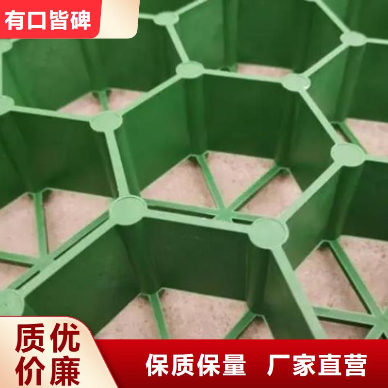 植草格水泥化粪池一个起售