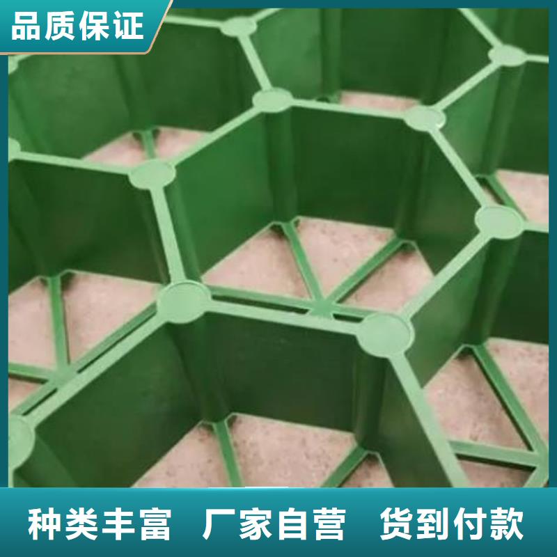 植草格植草格型号全价格低