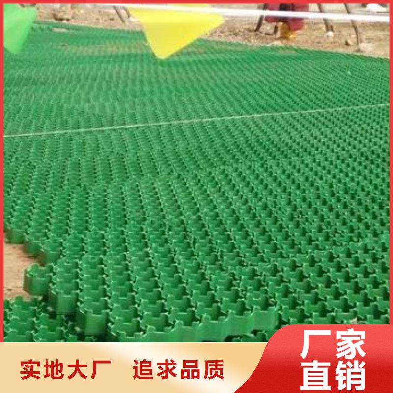 植草格,防护虹吸排水收集系统实力厂家