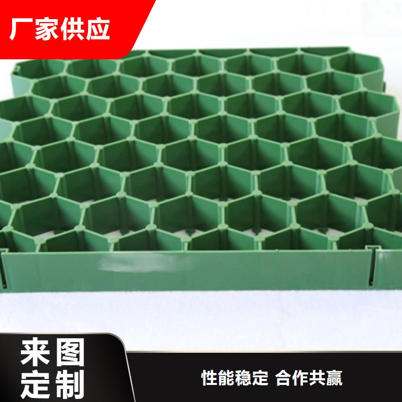 植草格水泥化粪池一个起售