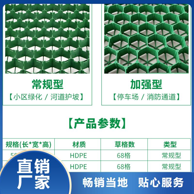 植草格水泥化粪池一个起售