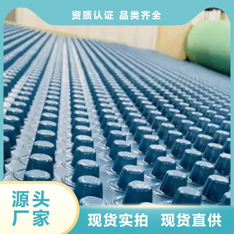 《朋联》-|齐齐哈尔|黑河|牡丹江|绥化|哈尔滨|鹤岗|佳木斯塑料排水板 【水泥化粪池】专注产品质量与服务超产品在细节