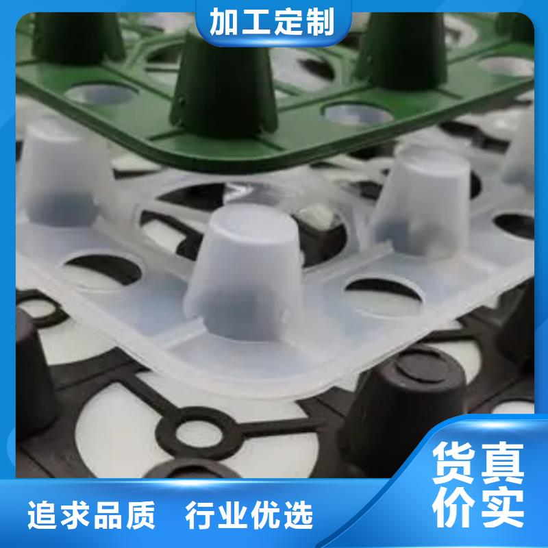 《朋联》-|齐齐哈尔|黑河|牡丹江|绥化|哈尔滨|鹤岗|佳木斯塑料排水板 【水泥化粪池】专注产品质量与服务超产品在细节
