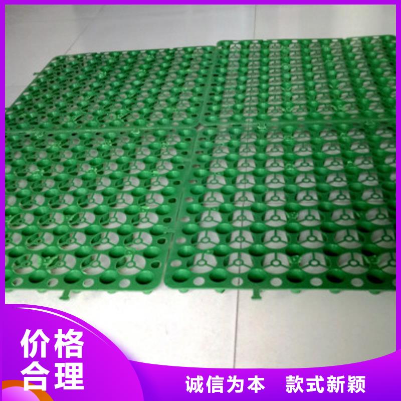 【朋联】【 塑料排水板 水泥化粪池厂家直发】