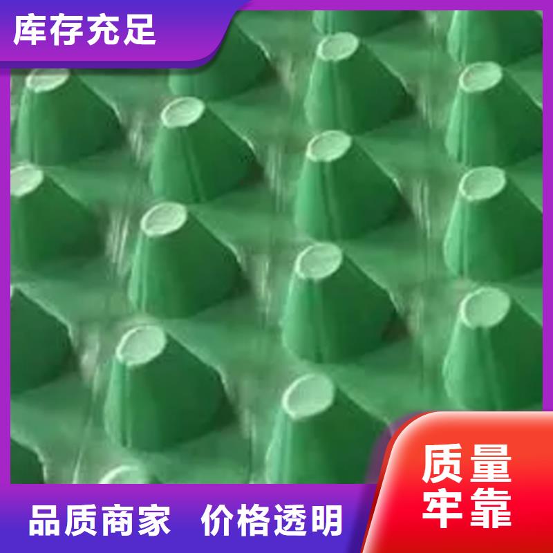 【朋联】【 塑料排水板 水泥化粪池厂家直发】