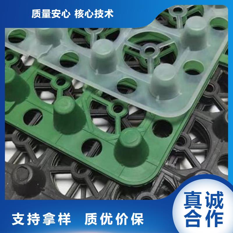 《朋联》-|齐齐哈尔|黑河|牡丹江|绥化|哈尔滨|鹤岗|佳木斯塑料排水板 【水泥化粪池】专注产品质量与服务超产品在细节
