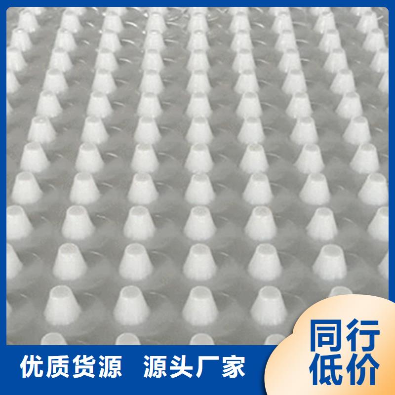 【朋联】【 塑料排水板 水泥化粪池厂家直发】