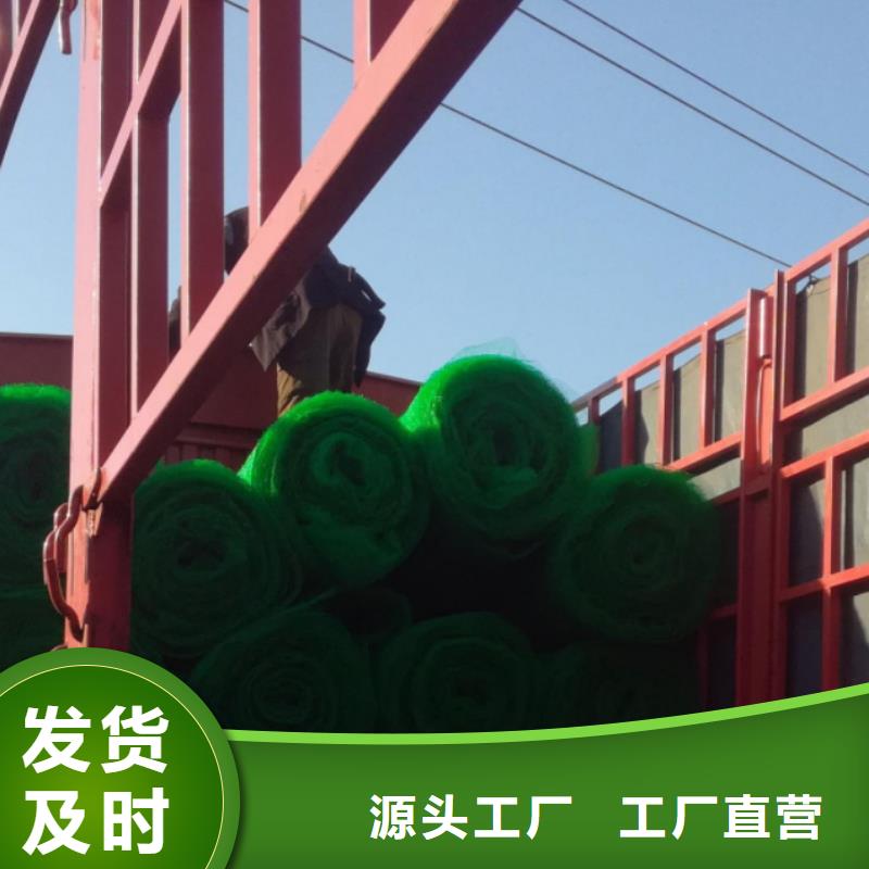 【三维植被网】-排水板专业生产设备|澧县|鼎城|长沙|株洲|怀化|衡阳|湘潭|邵阳|永州kkfgg.com