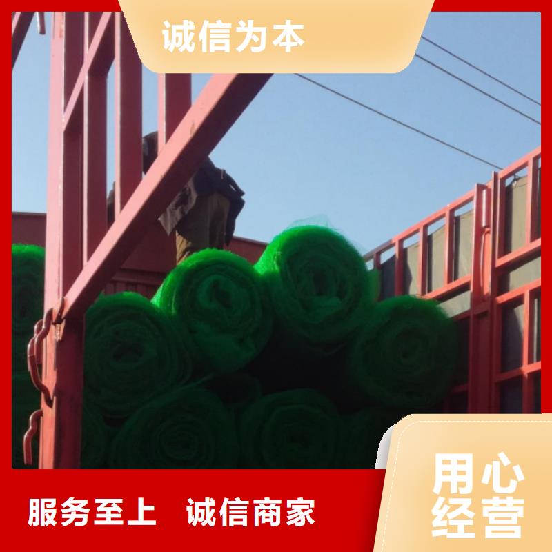 《朋联》呼伦贝尔|包头|鄂尔多斯|乌兰察布|乌海|阿拉善【三维植被网】,植草格无中间商厂家直销生产商