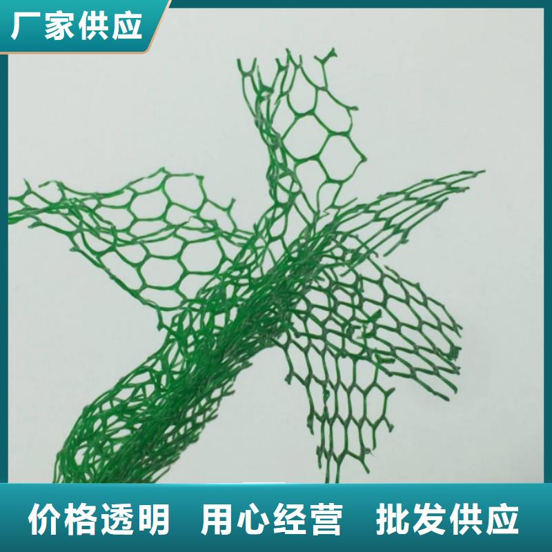 三维植被网【防护虹吸排水收集系统】厂家大量现货